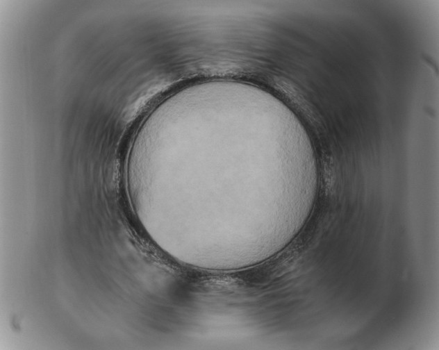 X0000103140583200809051616