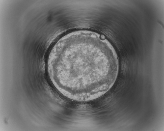 X0000103140584200809051616