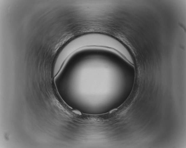 X0000103140585200809051616