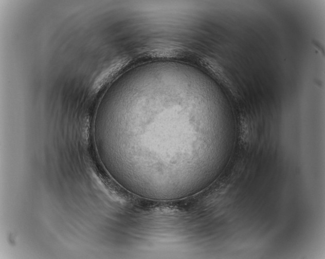 X0000103140586200809051616