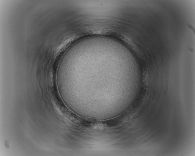 X0000103140587200809051616