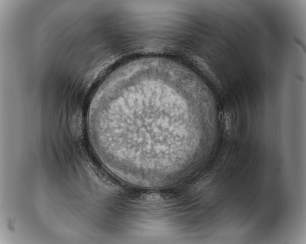 X0000103140588200809051616