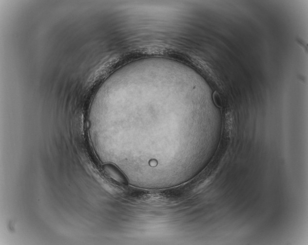 X0000103140589200809051616