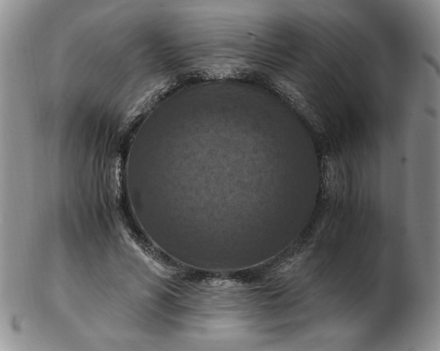 X0000103140590200809051616