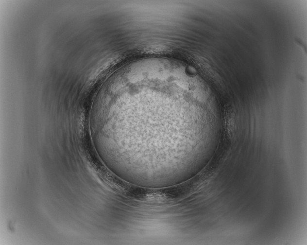 X0000103140591200809051616