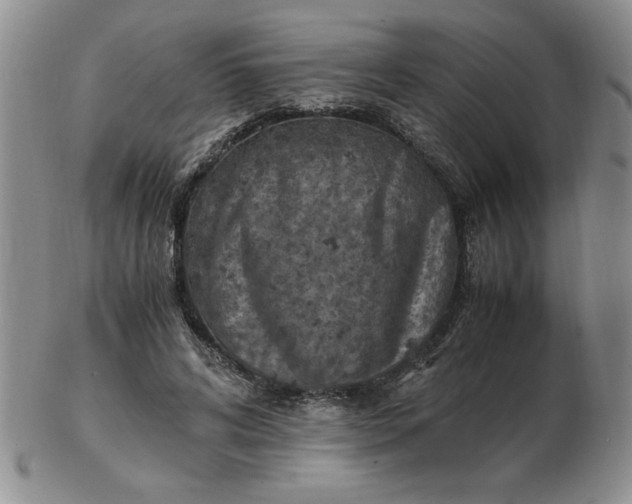 X0000103140592200809051616