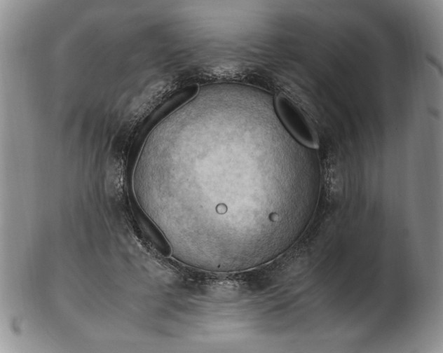 X0000103140593200809051616