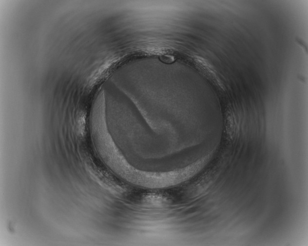 X0000103140596200809051616