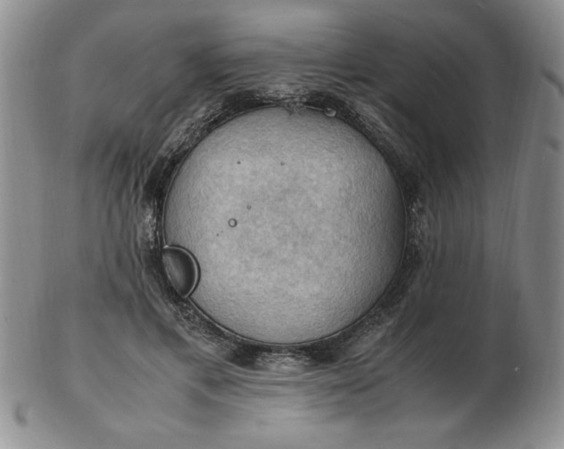 X0000103140597200809051616