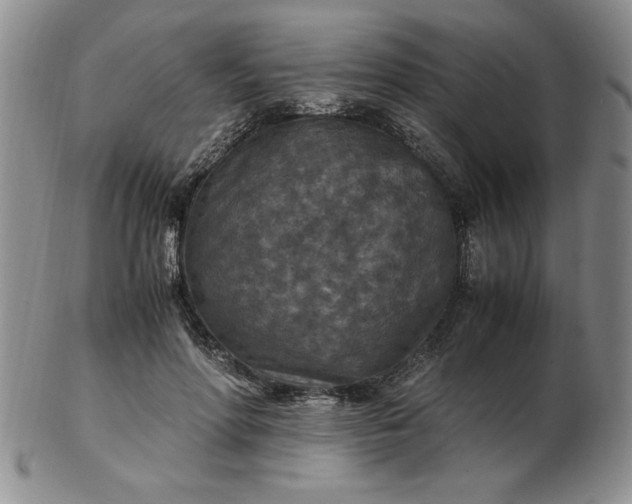 X0000103140598200809051616