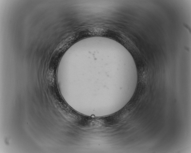 X0000103140599200809051616