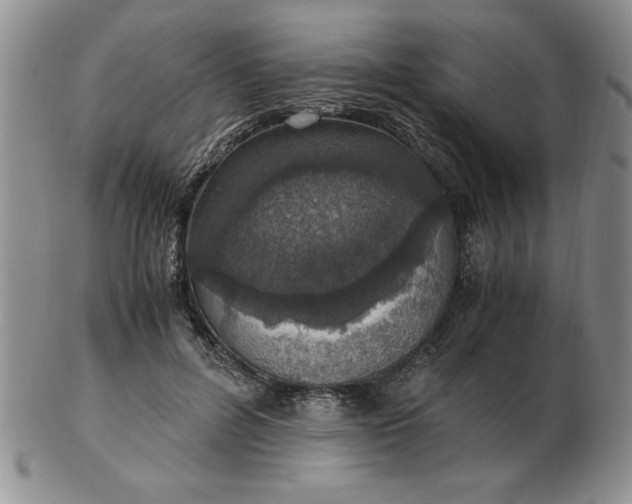 X0000103140600200809051616