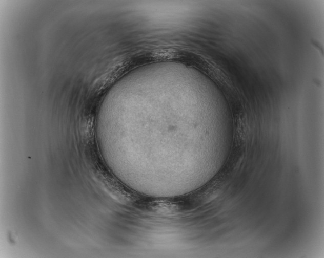 X0000103140601200809051616