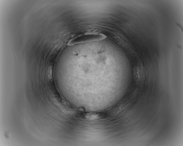 X0000103140602200809051616