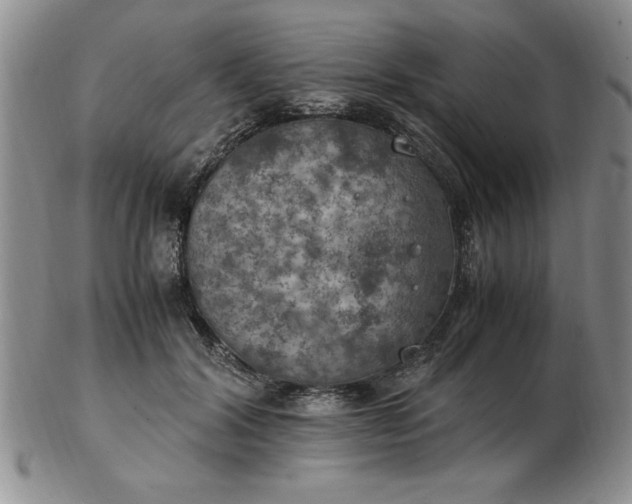 X0000103140604200809051616