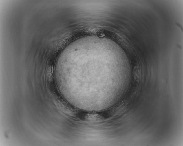 X0000103140605200809051616