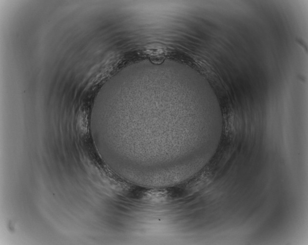 X0000103140606200809051616