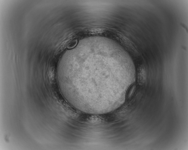 X0000103140608200809051616