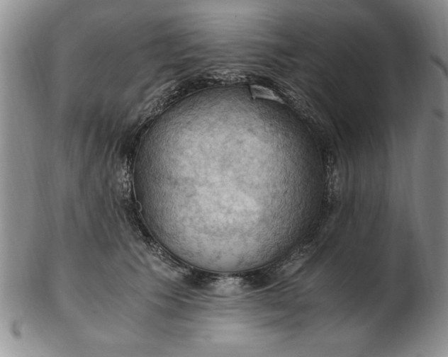 X0000103140609200809051616