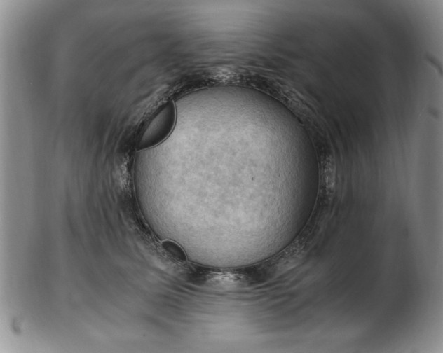 X0000103140611200809051616