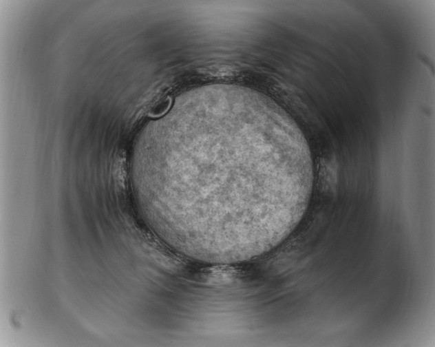 X0000103140612200809051616