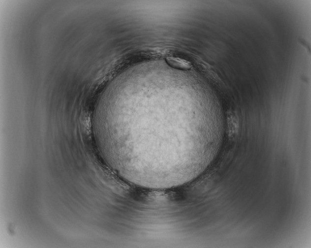 X0000103140613200809051616