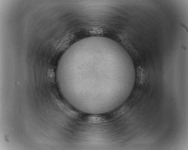 X0000103140614200809051616