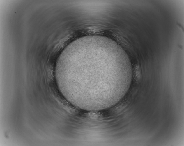 X0000103140615200809051616