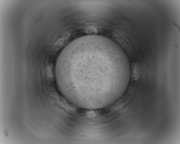 X0000103140616200809051616