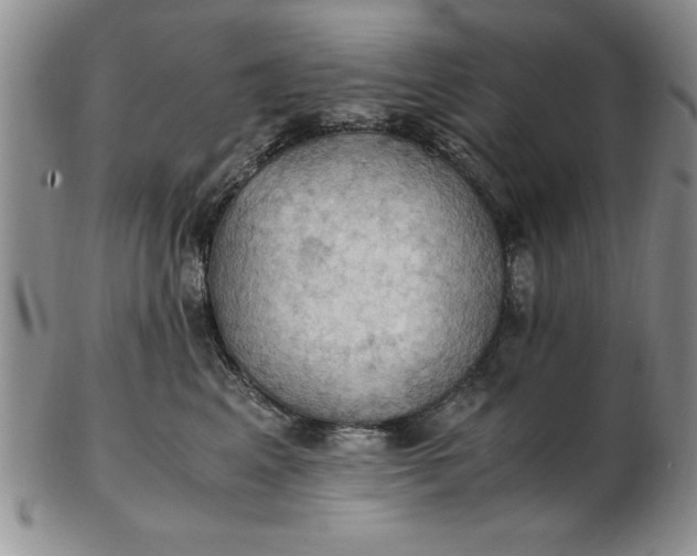 X0000103140617200809051616