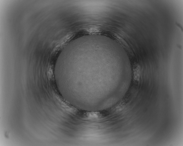 X0000103140618200809051616