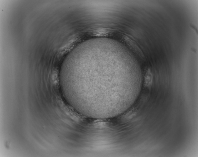 X0000103140620200809051616