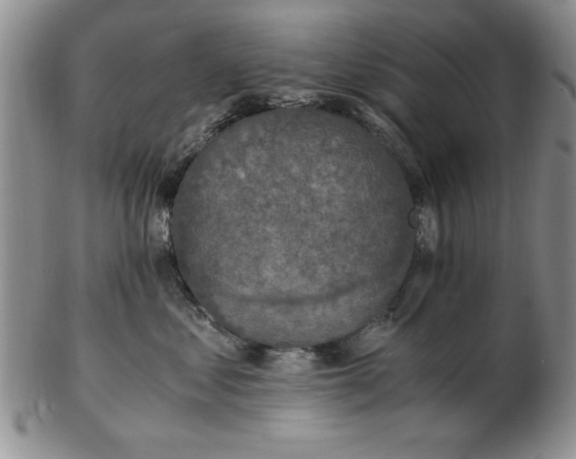 X0000103140621200809051616