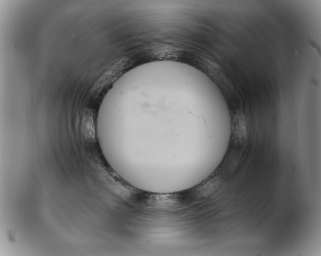 X0000103140622200809051616