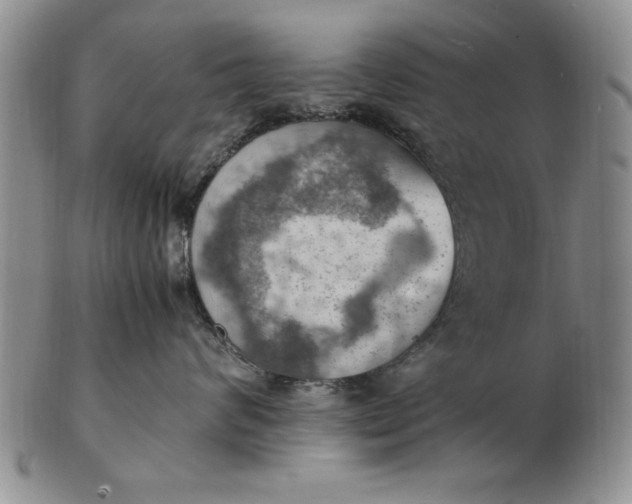 X0000103140624200809051616