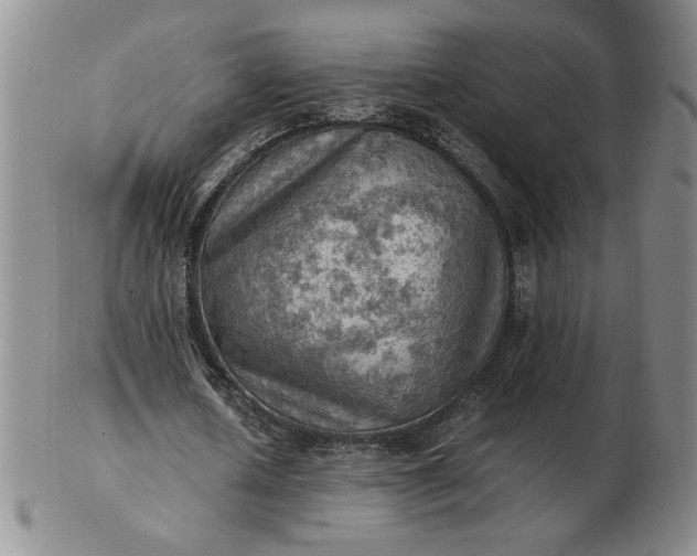 X0000103140626200809051615