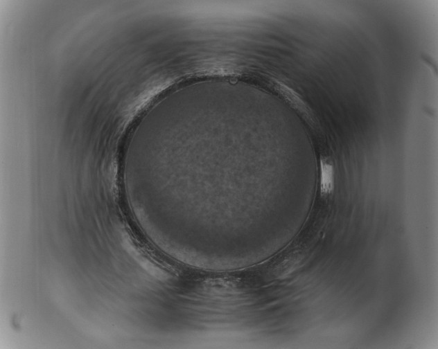 X0000103140627200809051615