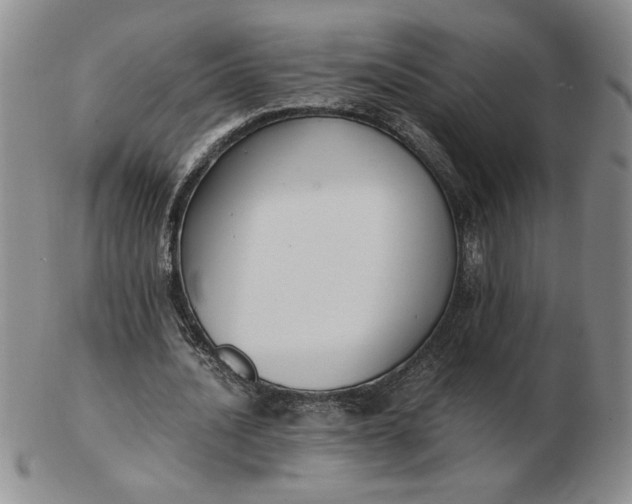 X0000103140628200809051615