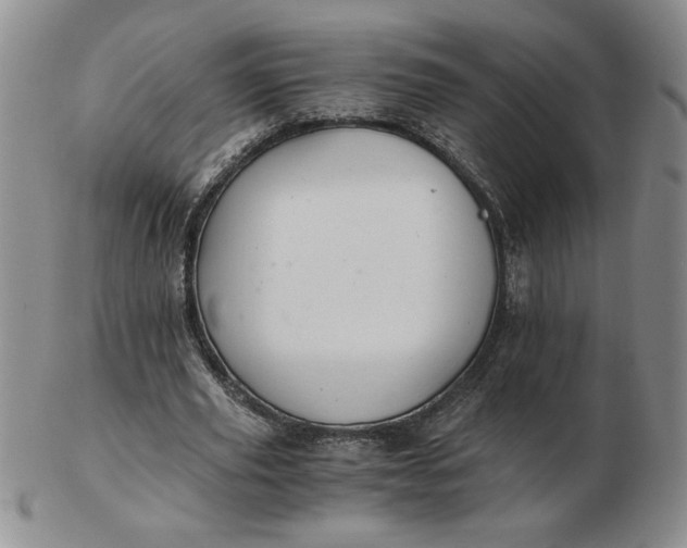 X0000103140629200809051615