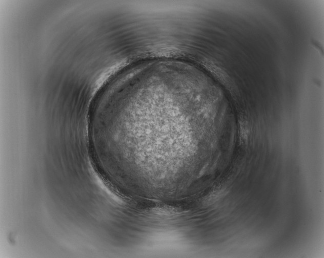 X0000103140630200809051615