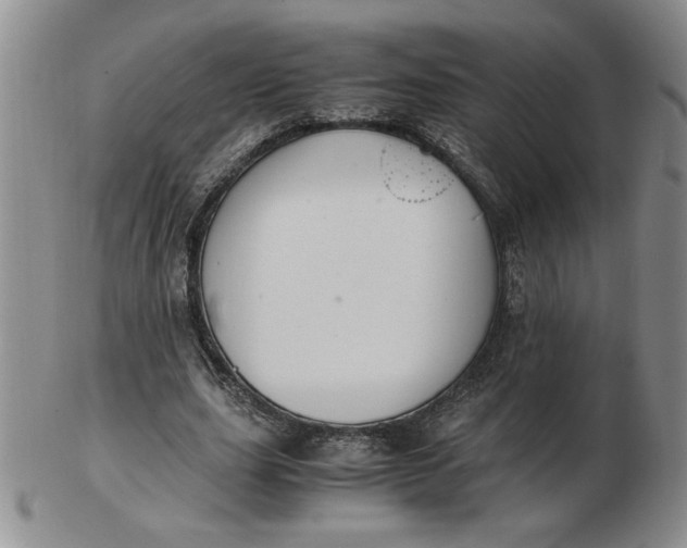 X0000103140631200809051615