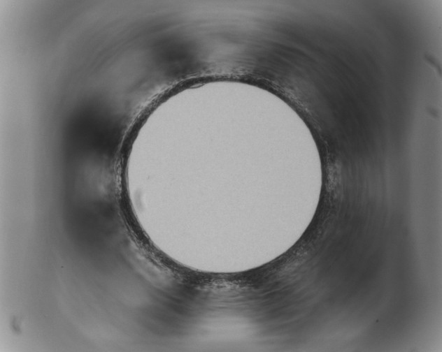 X0000103140632200809051615