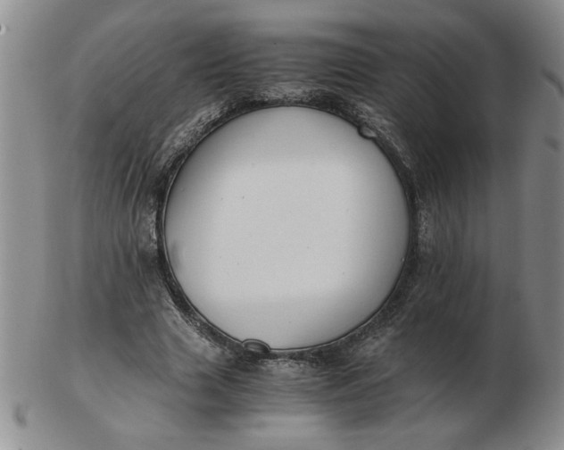 X0000103140633200809051615