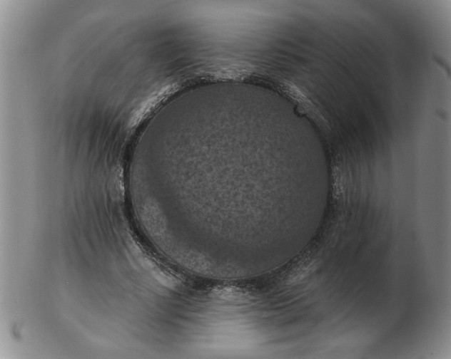 X0000103140634200809051615