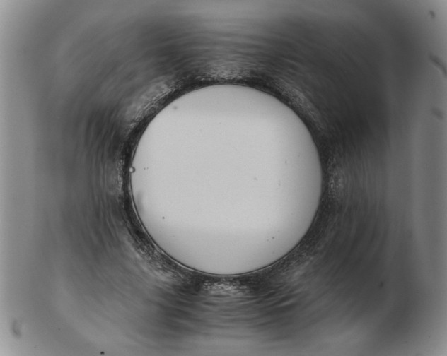 X0000103140635200809051615