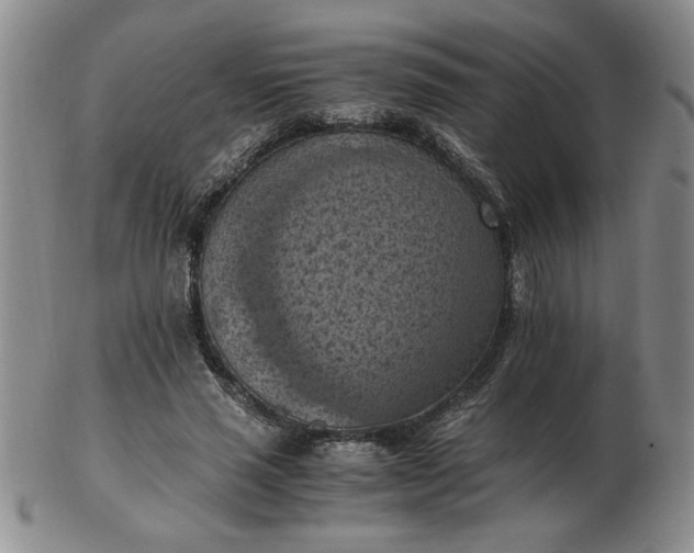 X0000103140637200809051615