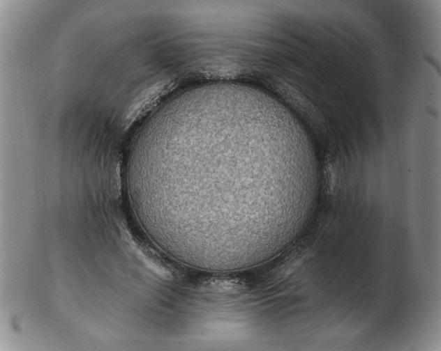 X0000103140638200809051615