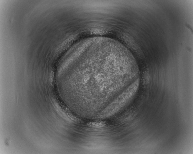 X0000103140639200809051615