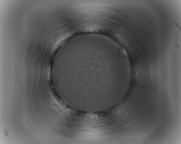 X0000103140640200809051615