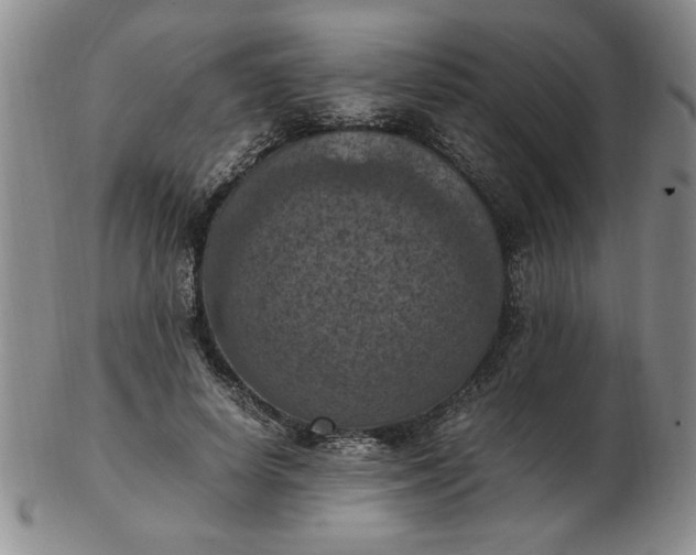 X0000103140642200809051615